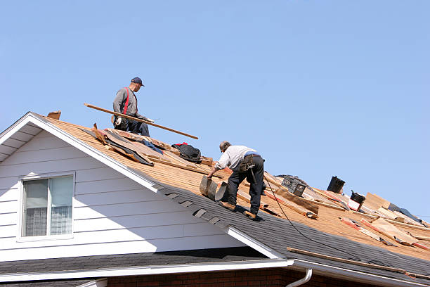 Best Asphalt Shingle Roofing  in Braddock Hills, PA
